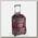 Сумка на колесах Eagle Creek ORV Wheeled Duffel International Carry-On Earth Red