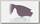 Линза Oakley M2 Frame Prizm Daily Polarized
