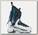 Горнолыжные ботинки женские Fischer My Travers Gr Dark Blue
