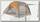Палатка Big Agnes Salt Creek SL2 Gray/Lt Gray/Orange