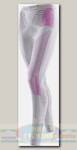 Кальсоны женские X-Bionic Radiactor Evo Long Silver/Fuchsia