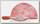 Кепка детская Buff 5 Panels Heavens Pink
