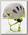 Каска Edelrid Shield Lite Oasis/Snow